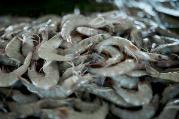 fresh uncooked shrimps for sale at Traditional Seafood Market