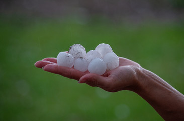 Very large hail on a palm close up - obrazy, fototapety, plakaty