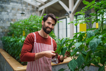 Front view of man gardener standing in greenhouse, spraying plants with water.