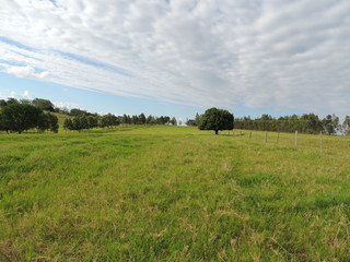 Beleza das nuvens sobre o verde