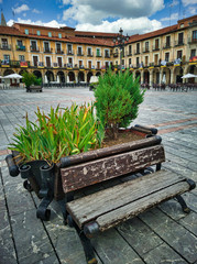 Banco y macetero en la plaza mayor de Leon