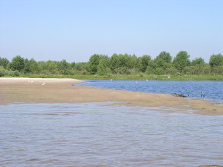 Fototapeta na wymiar river in the summer