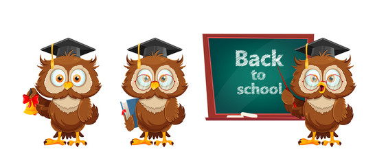 Cute wise owl. Funny owl, back to school concept