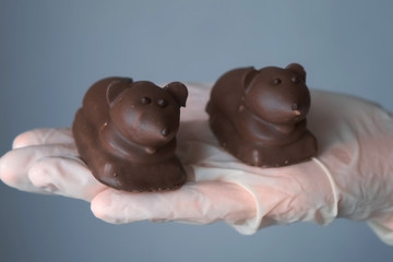 Confectioner is holding two chocolate mice in hand on grey background, manufacturer of sweets, closeup view. Production of chocolate candies. Hand in sterile glove.