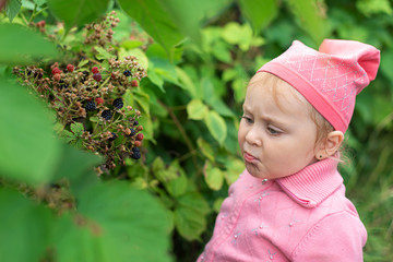 A little girl eats a black berry-BlackBerry in her garden. The child is offended and angry that the branches of brambles hurt