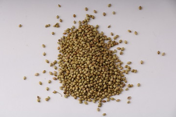 Pile of coriander seeds isolated on white background selective focus
