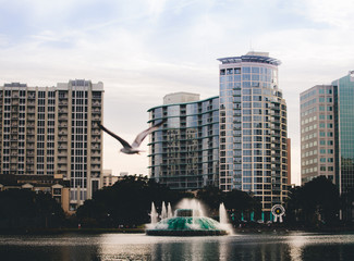 watching a fountain stroll through downtown Lake Eola on Orlando Florida on a fall winters afternoon on a weekend day. Lake Eola Park is located in the heart of Downtown Orlando, with a sidewalk  © Tamara Sales 