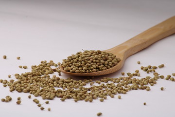 dried coriander seeds in the wooden spoon, isolated on white.