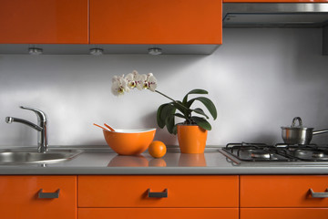 Modern luxury kitchen. Photo. 