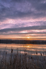 Obraz premium Gathering Light