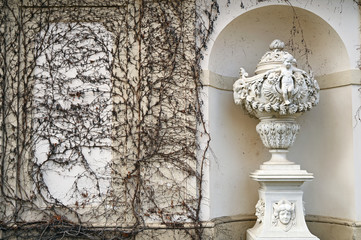 Statue and wall with creeper plant in Vienna autumn season