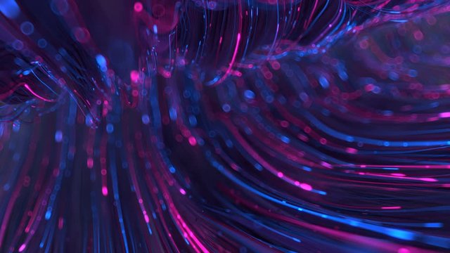 Optical fiber blue and pink neon color. Digital data transfer design. 3D render seamless loop animation