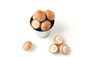 fresh beige cultured mushrooms on a white background. Vegan and vegetarian food. concept of the harvest season.