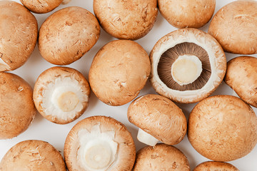 fresh beige cultured mushrooms on a white background. Vegan and vegetarian food. concept of the harvest season.