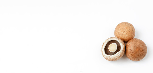 fresh beige cultured mushrooms on a white background. Vegan and vegetarian food. concept of the harvest season.