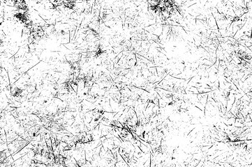 Black and white monochrome beautiful textured background with small twigs. High resolution texture...