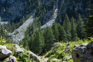 Fototapeta na wymiar hike in the Styrian mountains