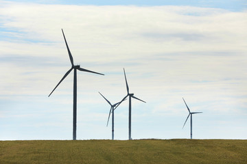 Beautiful view of field with wind turbines. Alternative energy source