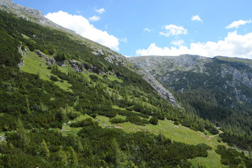 Fototapeta na wymiar hike in the Styrian mountains