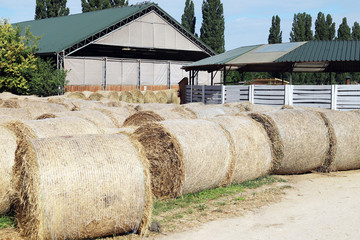Hay bales are stacked in large stacks on an unknown riding centre