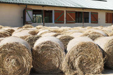 Hay bales are stacked in large stacks on an unknown riding centre