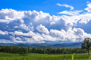 Obraz premium green field and blue sky