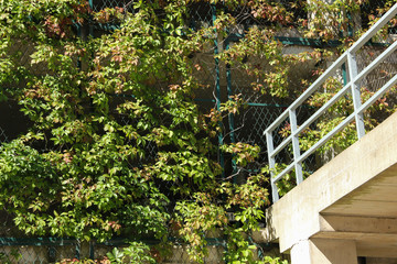 A ramp leads to the second floor. Multistorey parking lot. Abstract urban background.