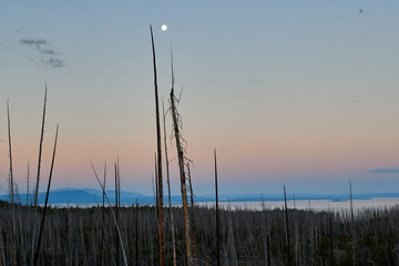 Obraz premium Moon setting over Yellowstone Lake