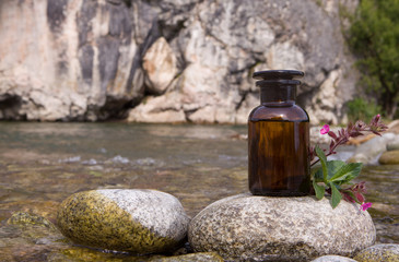 Healthcare or Herbal medicine concept.