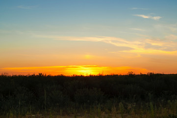 Fototapeta na wymiar Blue sky with rays of the setting sun. Sunset in the wild.