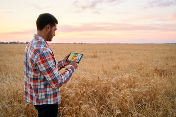 Precision farming. Farmer holds tablet using online data management software with maps, charts at...