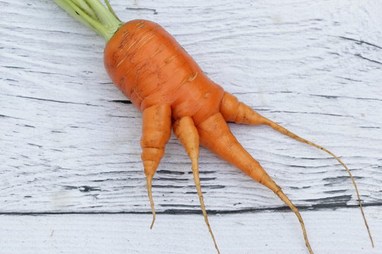 Trendy ugly organic vegetable carrot on the wooden background. Funny, unnormal vegetable or food waste concept.