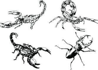 vector drawings sketches different insects bugs Scorpions spiders drawn in ink by hand , objects with no background