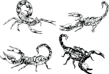 vector drawings sketches different insects bugs Scorpions spiders drawn in ink by hand , objects with no background