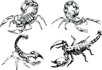 vector drawings sketches different insects bugs Scorpions spiders drawn in ink by hand , objects with no background