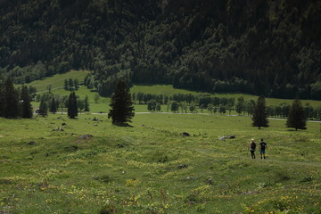 Werfenweng in Salzburgerland