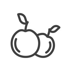 Apples icon. Simple, minimalistic line art on a clean backing. Isolated vector on white background.