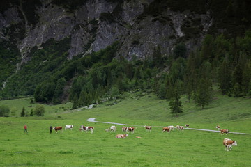 Werfenweng in Salzburgerland