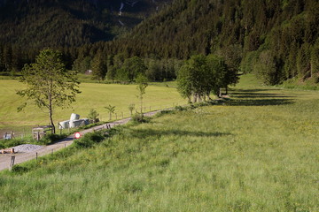 Fototapete bei efototapeten.de bestellen   