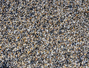 Wet sea pebbles after a receding wave for the background.