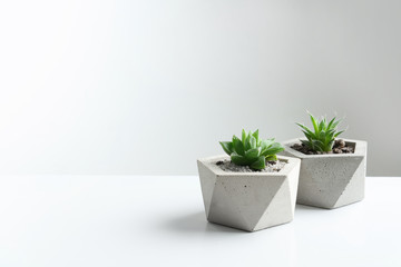 Succulent plants in concrete pots on white table. Space for text