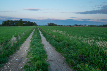 Fototapeta na wymiar A country road through green fields and clouds after sunset