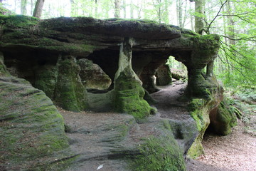 Grotte de l'Ermitage (massif de la Serre) au printemps 2
