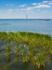 aerial view to red metal lighthouse in the river behind green grass with white bird