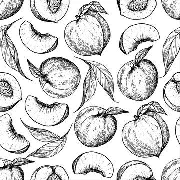 Seamless pattern with peach fruit. Hand drawn sketch. Black and white style illustration. Vector illustration.