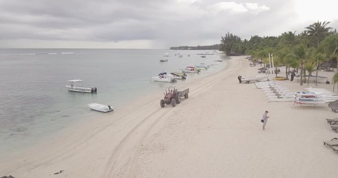 Zugtiere am Strand 
