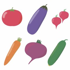 Vector illustration of a set of vegetables: tomato, cucumber, eggplant, radish, beet, carrot on a white background.