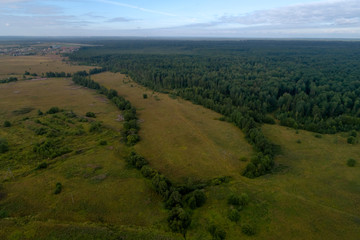 Obraz premium Aerial top view forest tree, Rainforest ecosystem and healthy environment concept and background, Texture of green tree forest view from above