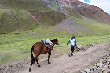 Cavalo nas montanhas