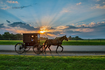 Amish Buggy at sunrise on rural road